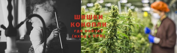 apvp Богданович